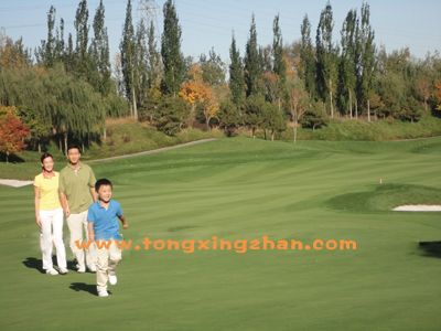 2011102612439334.jpg