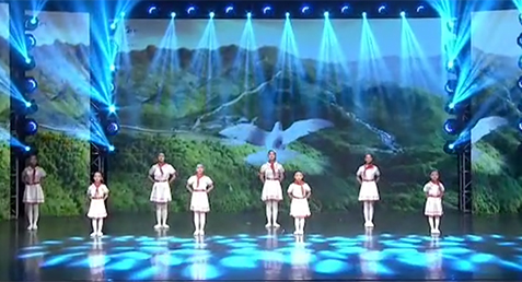 优龍优鳯小演员们表演的《我爱你中国》下面是部分精彩展示